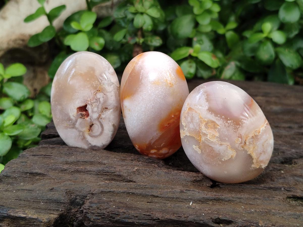 Polished Flower Agate Palm Stone x 20 From Antsahalova, Madagascar