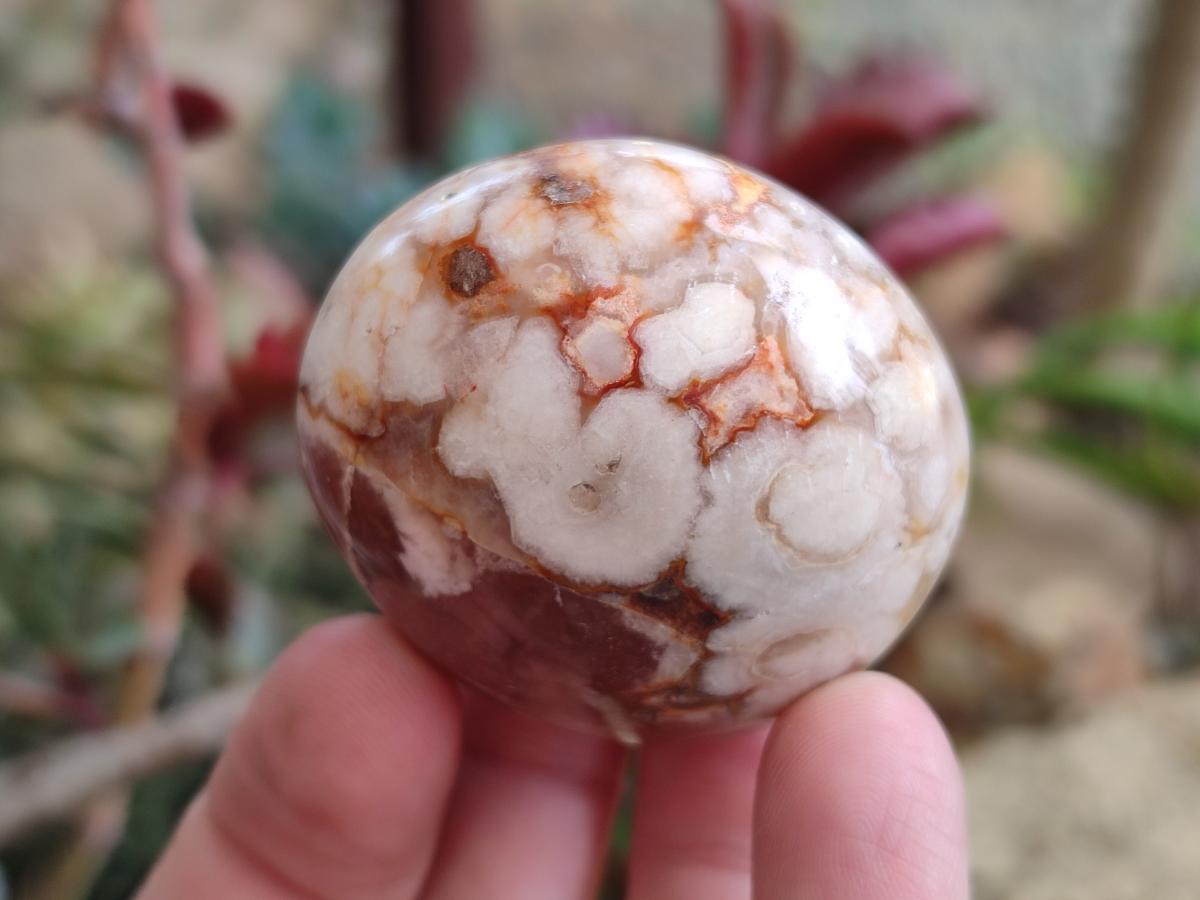 Polished Flower Agate Palm Stone x 20 From Antsahalova, Madagascar