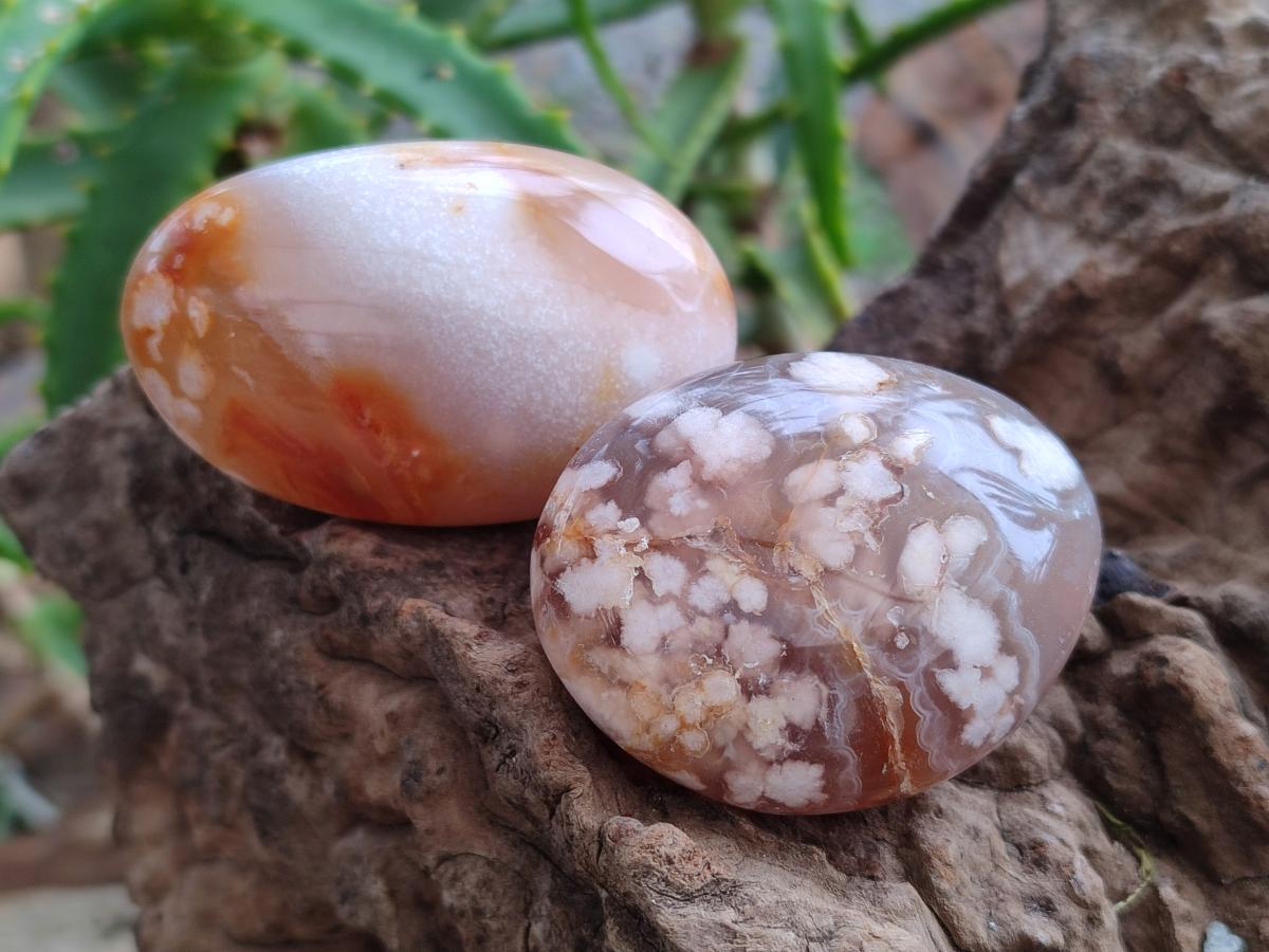 Polished Flower Agate Palm Stone x 20 From Antsahalova, Madagascar