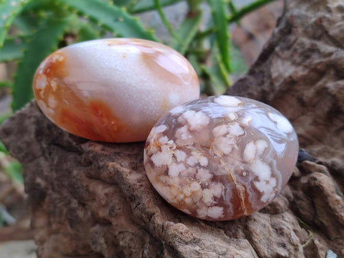Polished Flower Agate Palm Stone x 20 From Antsahalova, Madagascar - Toprock Gemstones and Minerals 