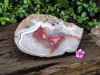 Polished One Side XL Red Shashe River Agate Nodule x 1 From Shashe River, Zimbabwe