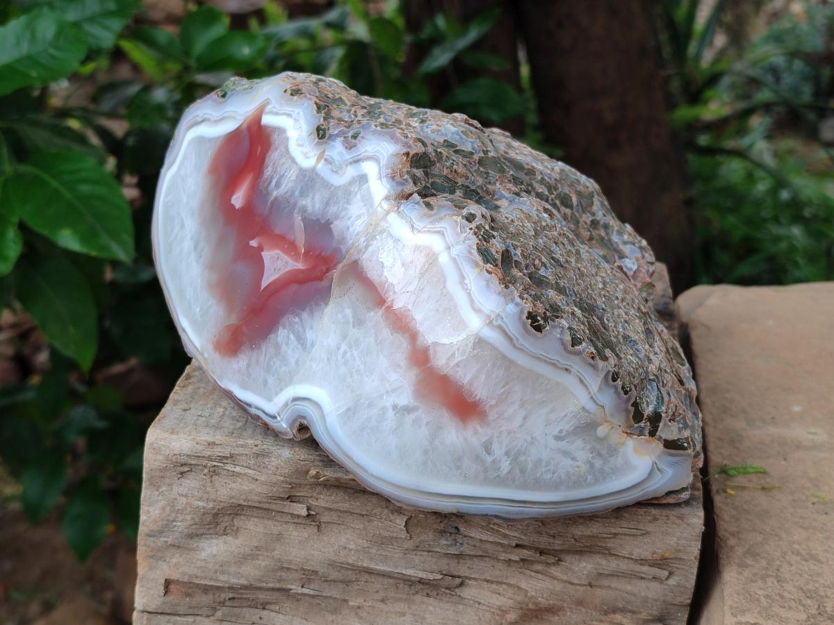 Polished One Side XL Red Shashe River Agate Nodule x 1 From Shashe River, Zimbabwe