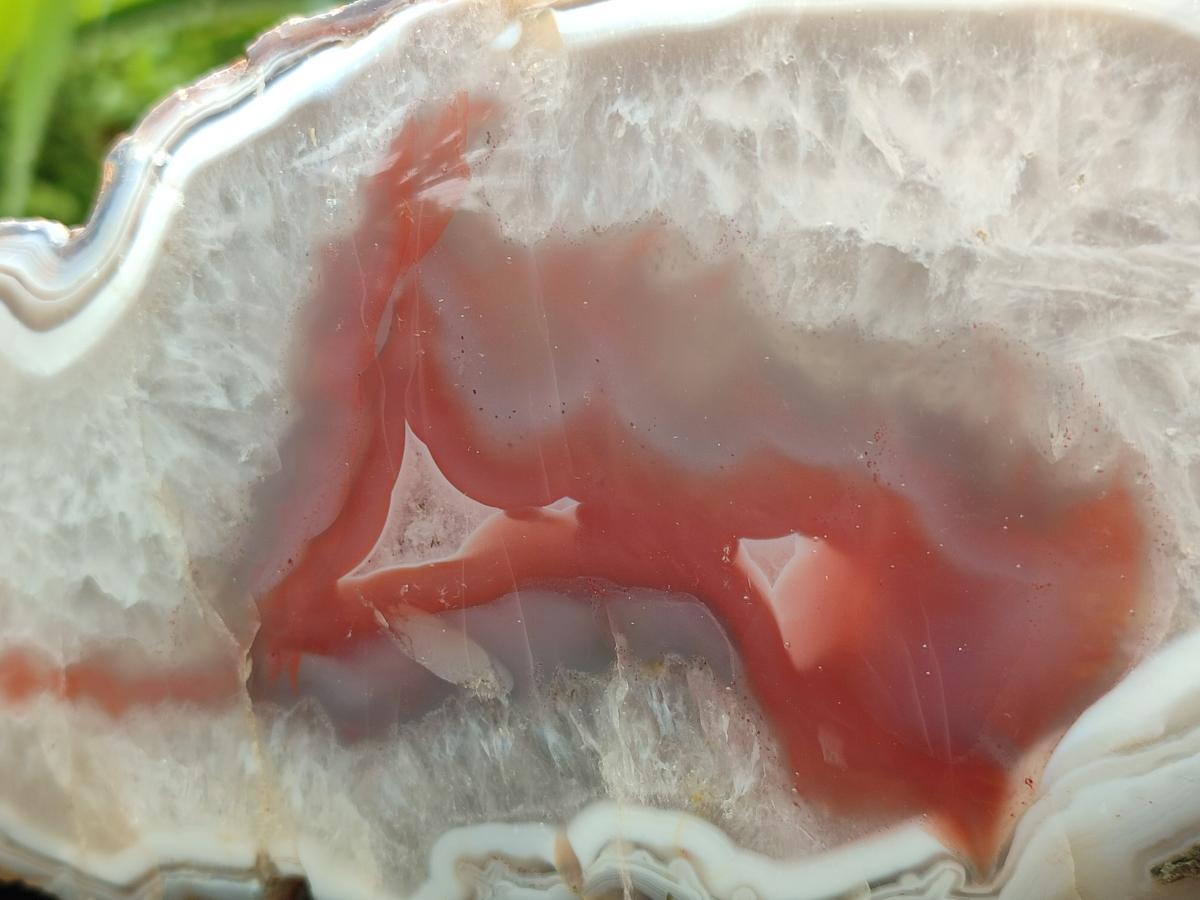 Polished One Side XL Red Shashe River Agate Nodule x 1 From Shashe River, Zimbabwe
