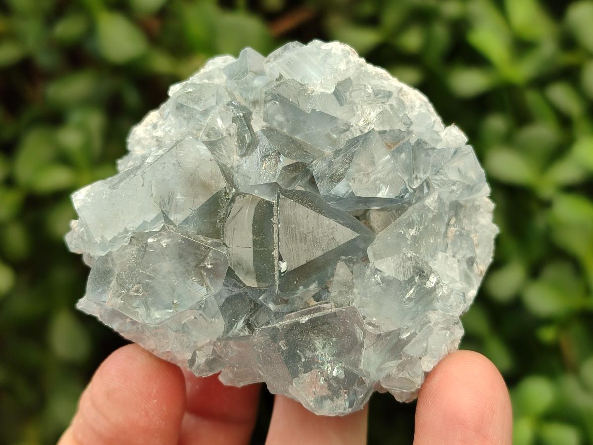 Natural Blue Celestite Specimens x 21 From Sakoany, Madagascar