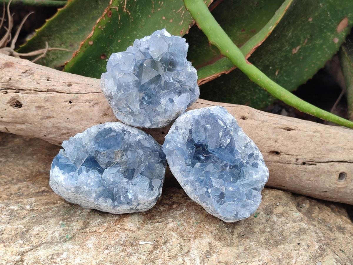 Natural Blue Celestite Specimens x 21 From Sakoany, Madagascar