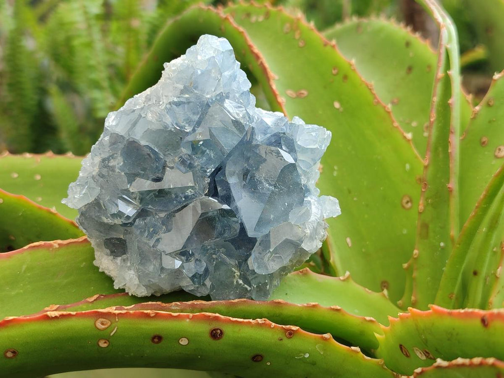 Natural Blue Celestite Specimens x 21 From Sakoany, Madagascar