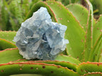Natural Blue Celestite Specimens x 21 From Sakoany, Madagascar