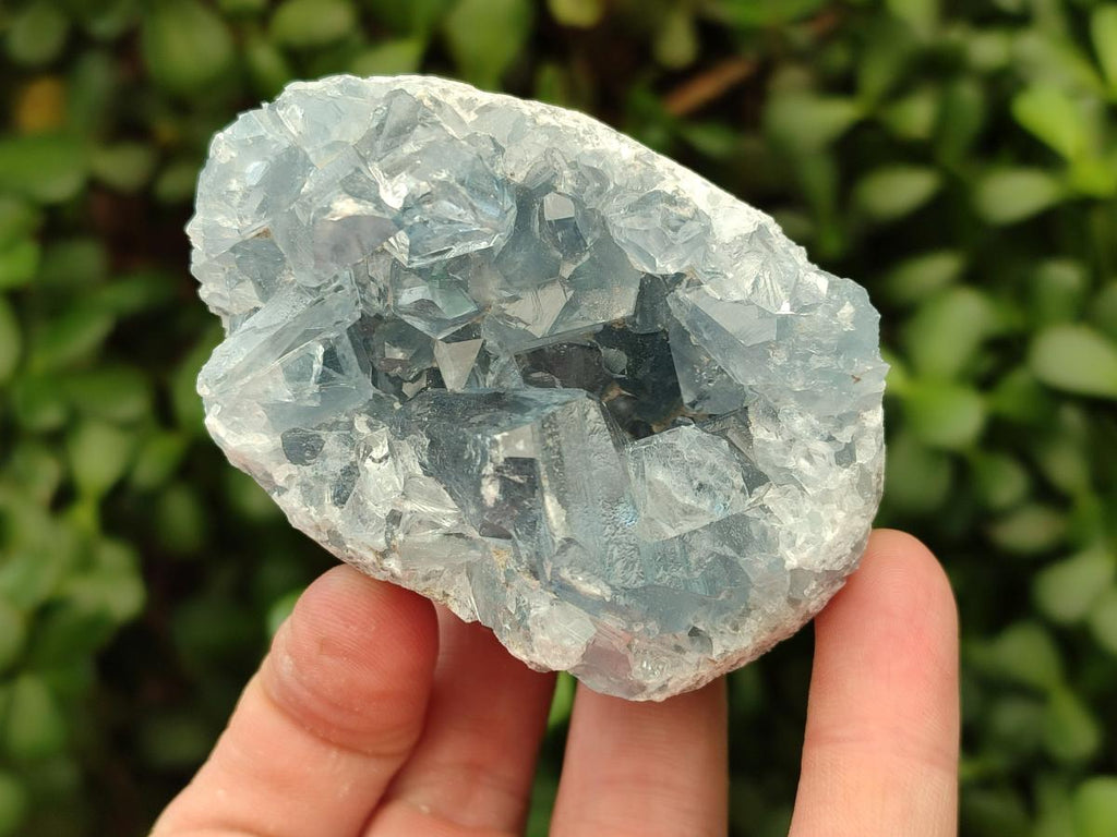 Natural Blue Celestite Specimens x 21 From Sakoany, Madagascar
