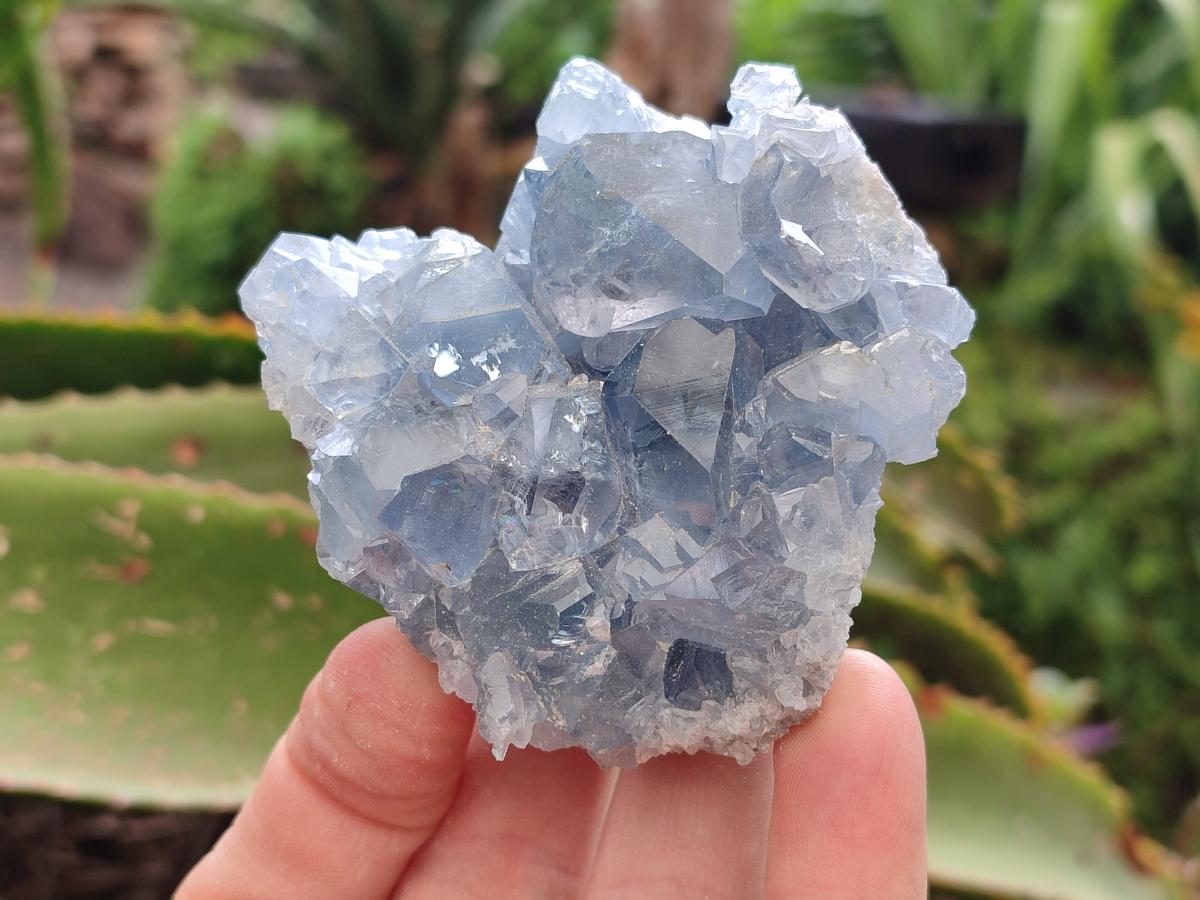 Natural Blue Celestite Specimens x 21 From Sakoany, Madagascar