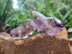 Natural Smokey Amethyst Crystals x 24 From Chiredzi, Zimbabwe