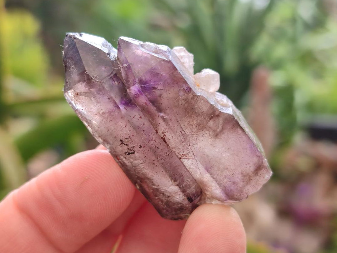 Natural Smokey Amethyst Crystals x 24 From Chiredzi, Zimbabwe
