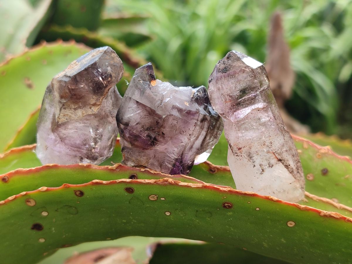 Natural Smokey Amethyst Crystals x 24 From Chiredzi, Zimbabwe