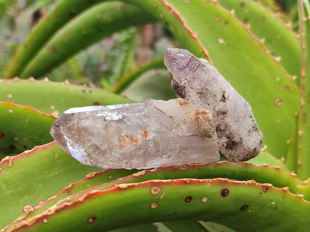 Natural Smokey Amethyst Crystals x 24 From Chiredzi, Zimbabwe
