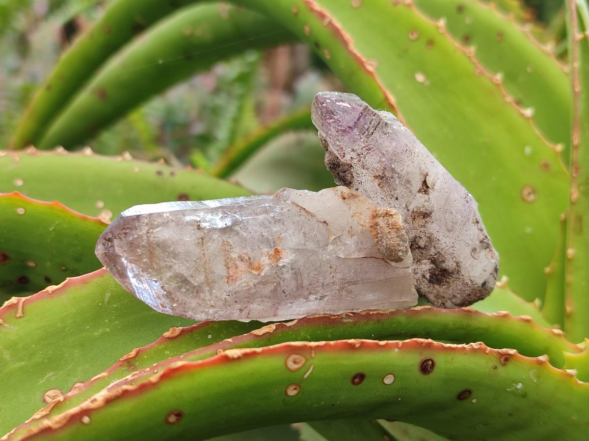 Natural Smokey Amethyst Crystals x 24 From Chiredzi, Zimbabwe