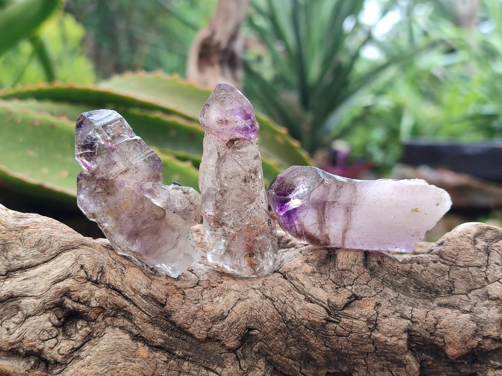 Natural Smokey Amethyst Crystals x 24 From Chiredzi, Zimbabwe