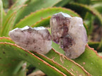 Natural Smokey Amethyst Crystals x 24 From Chiredzi, Zimbabwe