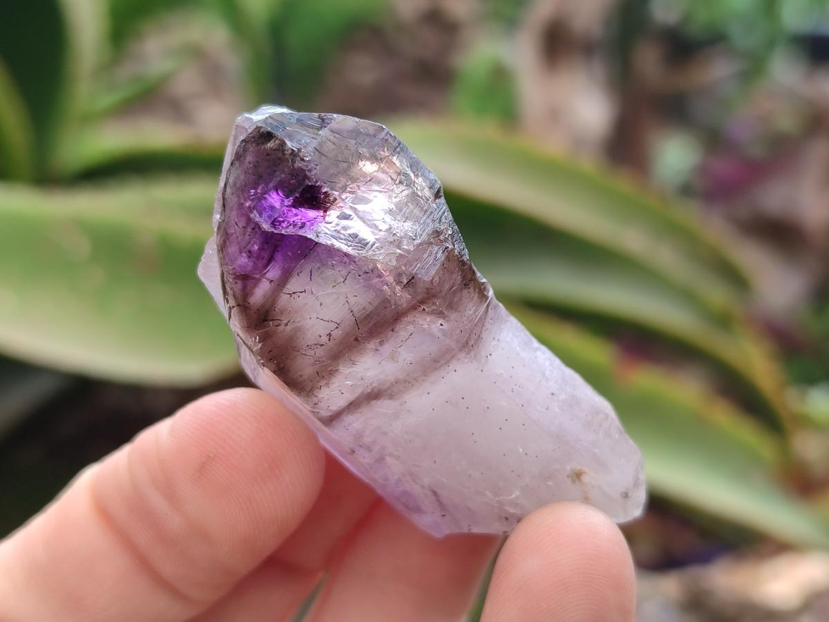 Natural Smokey Amethyst Crystals x 24 From Chiredzi, Zimbabwe