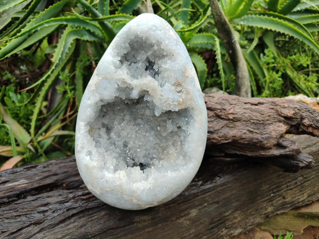 Polished Large Blue Celestite Egg x 1 From Sakoany, Madagascar