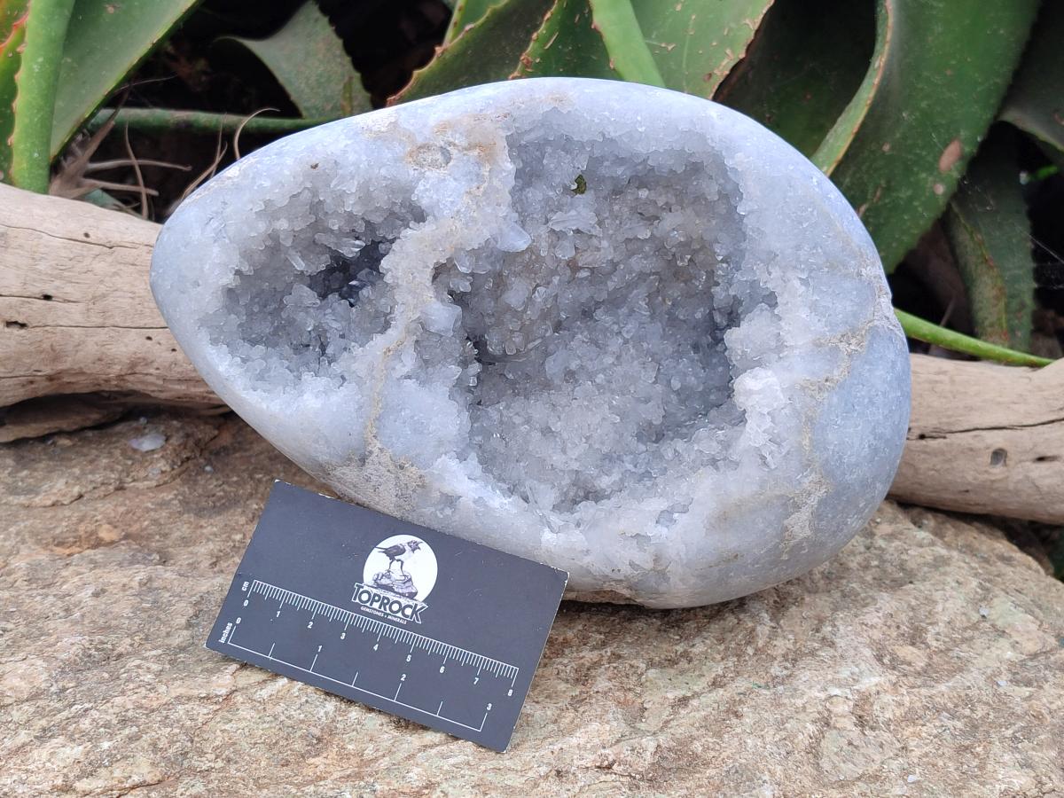 Polished Large Blue Celestite Egg x 1 From Sakoany, Madagascar