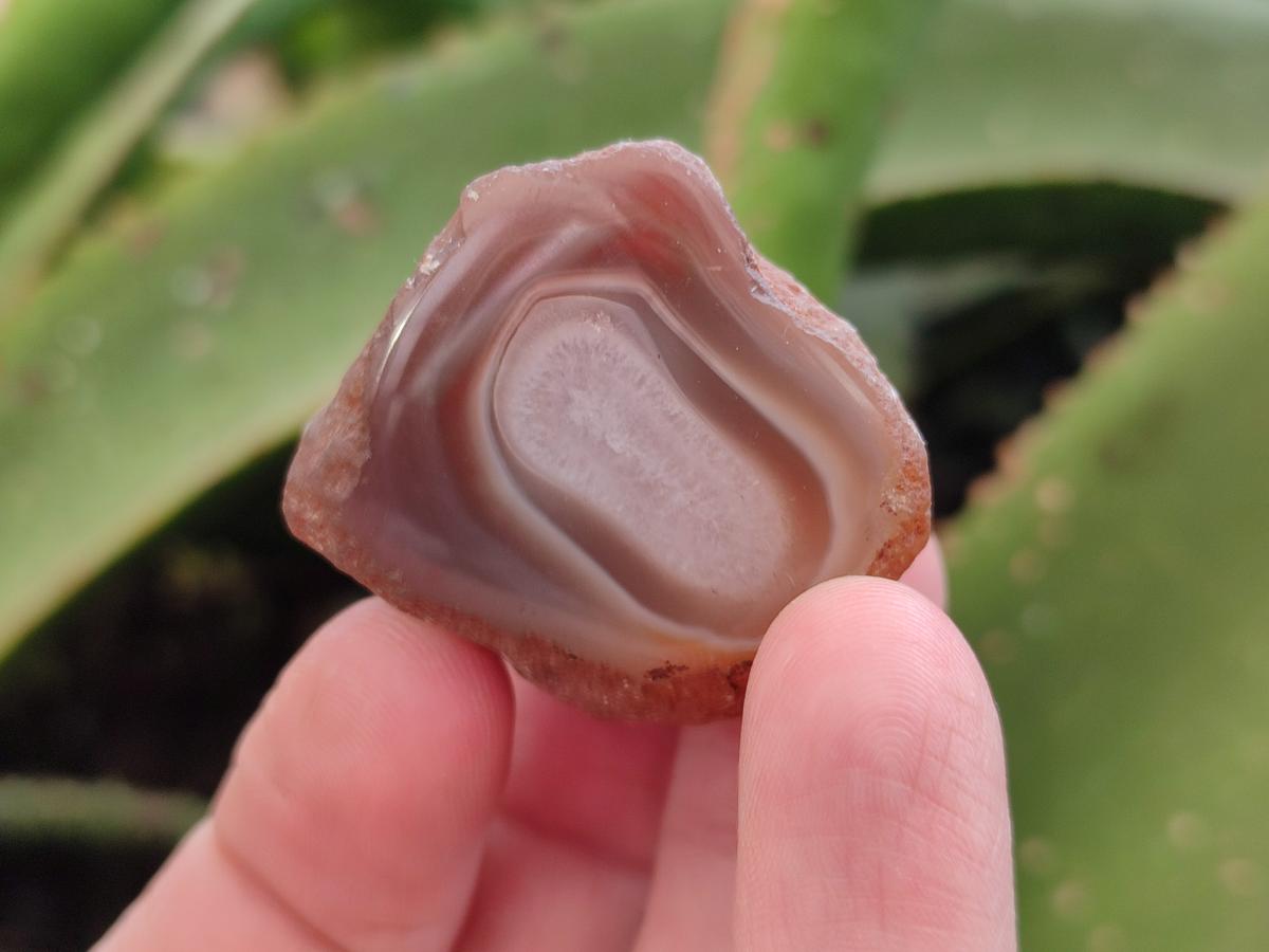 Polished Mini One Side Red Shashe River Agate Nodules x 35 From Shashe River, Zimbabwe