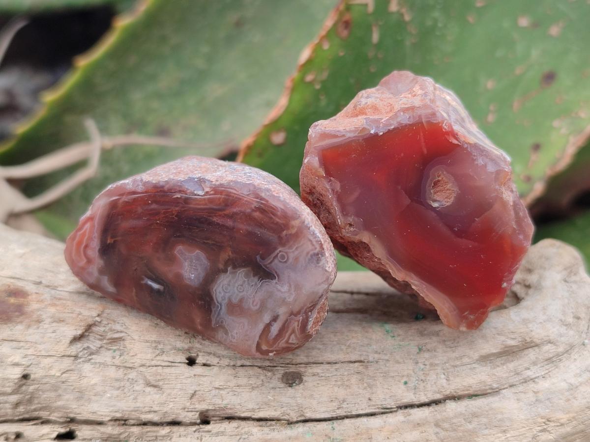 Polished Mini One Side Red Shashe River Agate Nodules x 35 From Shashe River, Zimbabwe
