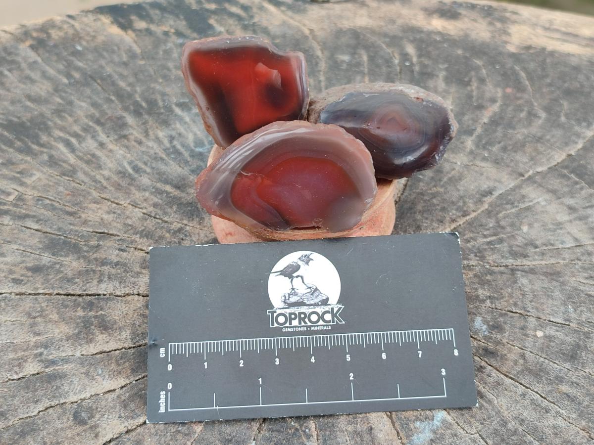 Polished Mini One Side Red Shashe River Agate Nodules x 35 From Shashe River, Zimbabwe