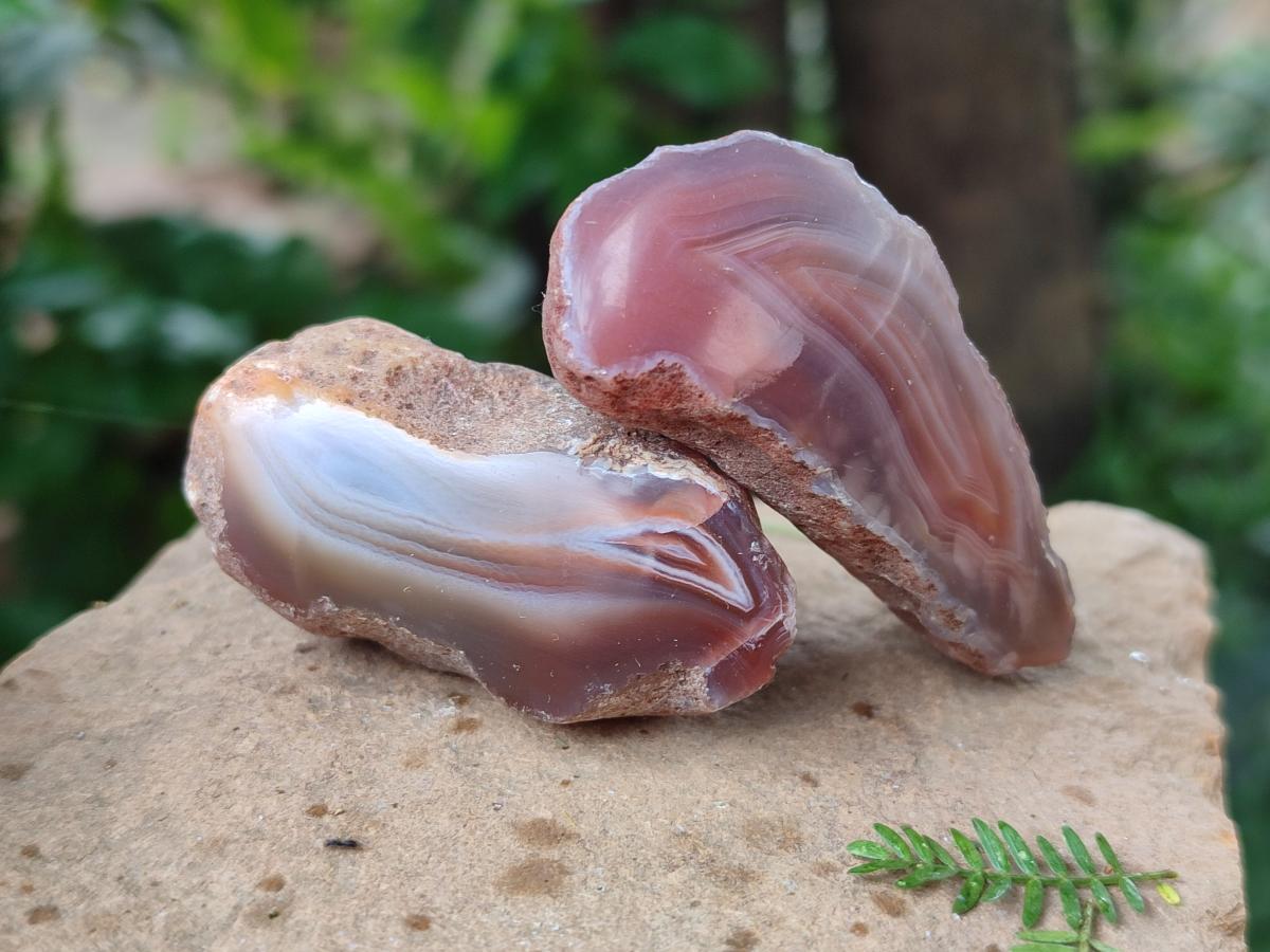 Polished Mini One Side Red Shashe River Agate Nodules x 35 From Shashe River, Zimbabwe