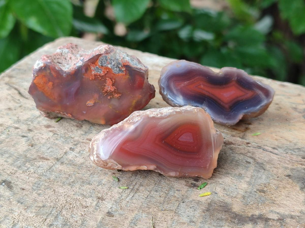 Polished Mini One Side Red Shashe River Agate Nodules x 35 From Shashe River, Zimbabwe