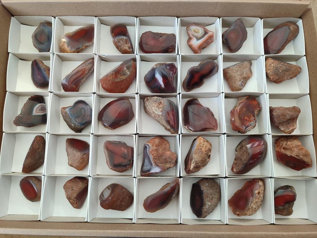 Polished Mini One Side Red Shashe River Agate Nodules x 35 From Shashe River, Zimbabwe