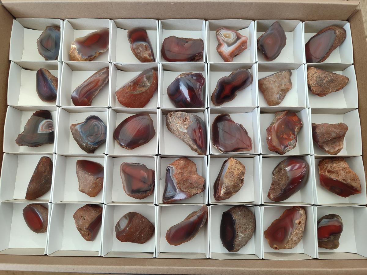 Polished Mini One Side Red Shashe River Agate Nodules x 35 From Shashe River, Zimbabwe