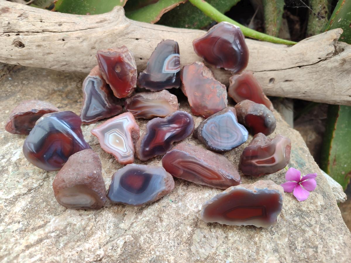 Polished Mini One Side Red Shashe River Agate Nodules x 35 From Shashe River, Zimbabwe