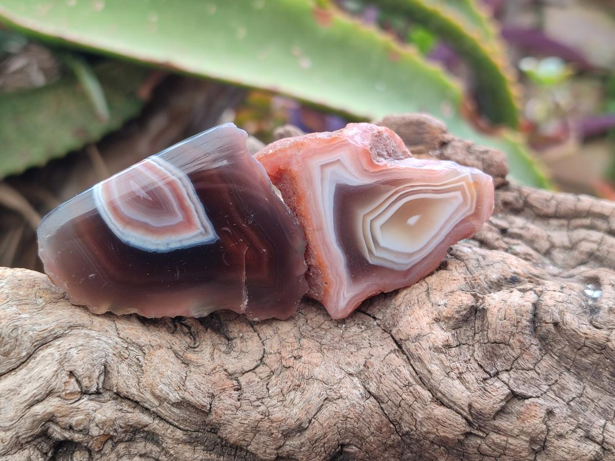 Polished Mini One Side Red Shashe River Agate Nodules x 35 From Shashe River, Zimbabwe