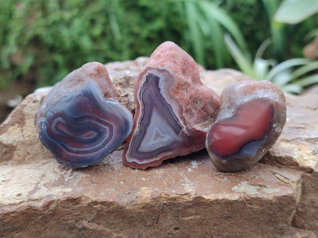 Polished Mini One Side Red Shashe River Agate Nodules x 35 From Shashe River, Zimbabwe
