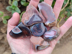 Polished Mini One Side Red Shashe River Agate Nodules x 35 From Shashe River, Zimbabwe