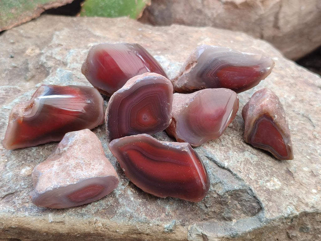 Polished Mini One Side Red Shashe River Agate Nodules x 35 From Shashe River, Zimbabwe