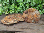 Hand Made Ammonite Conglomerate Coffee Table Coasters x 6 From Mahajanga, Madagascar