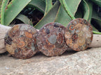 Hand Made Ammonite Conglomerate Coffee Table Coasters x 6 From Mahajanga, Madagascar