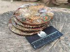 Hand Made Ammonite Conglomerate Coffee Table Coasters x 6 From Mahajanga, Madagascar