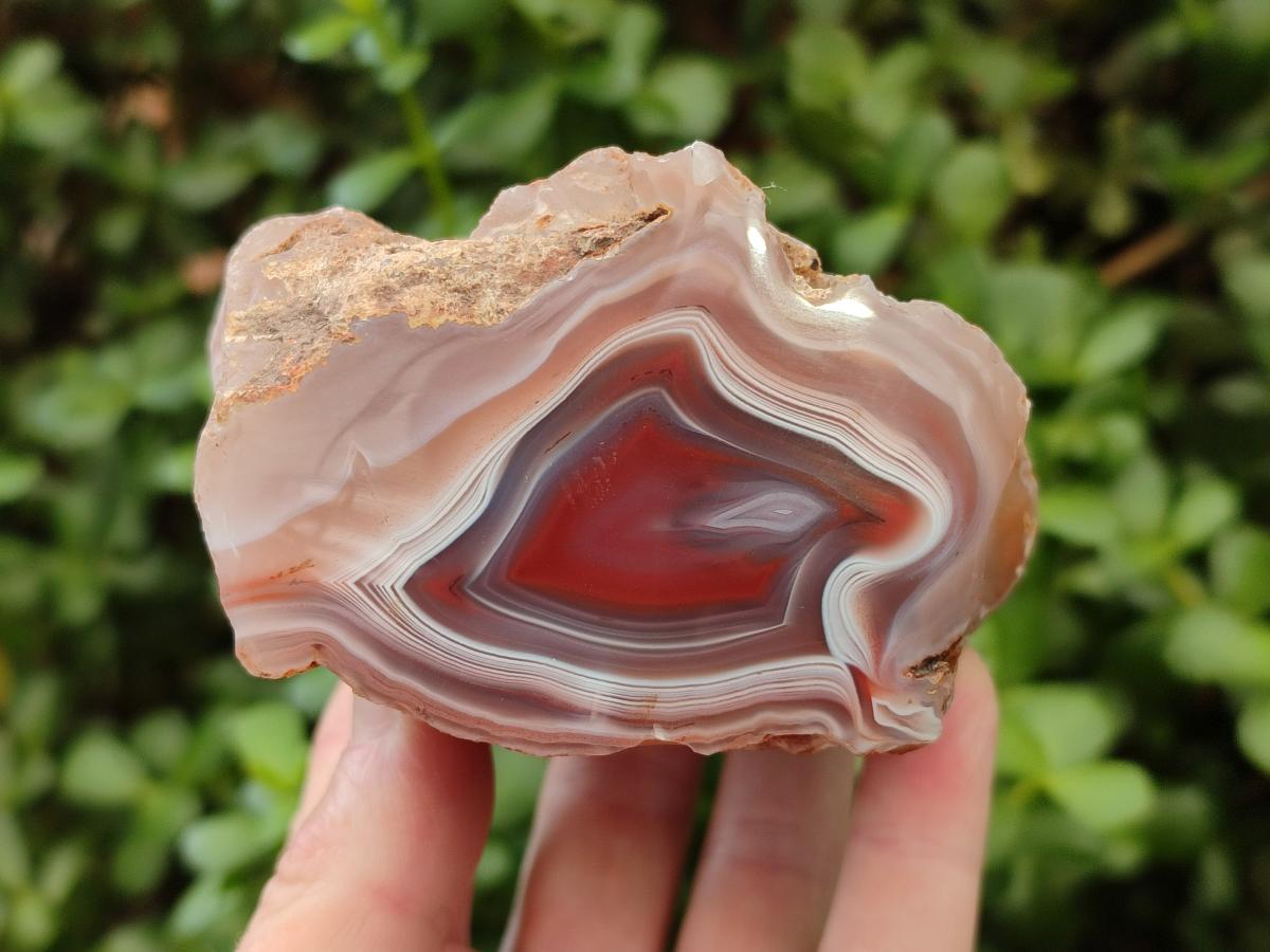 Polished One Side Red Shashe River Agate Nodules x 3 From Shashe River, Zimbabwe