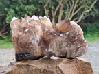 Natural Smokey Phantom Quartz Clusters x 2 From Luena, Congo