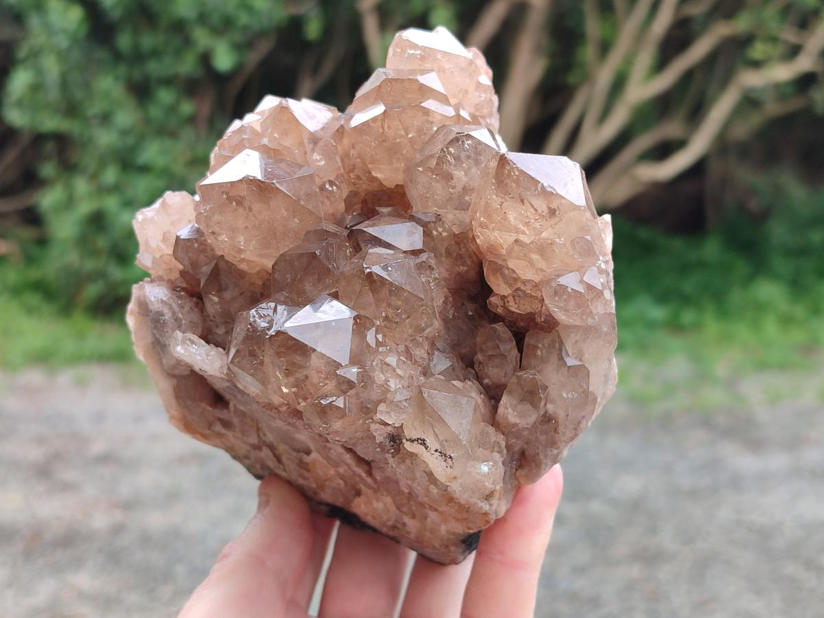 Natural Smokey Phantom Quartz Clusters x 2 From Luena, Congo