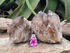 Natural Smokey Phantom Quartz Clusters x 2 From Luena, Congo