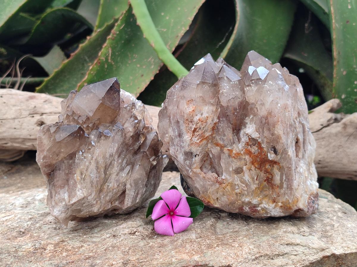 Natural Smokey Phantom Quartz Clusters x 2 From Luena, Congo