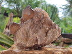 Natural Smokey Phantom Quartz Clusters x 2 From Luena, Congo