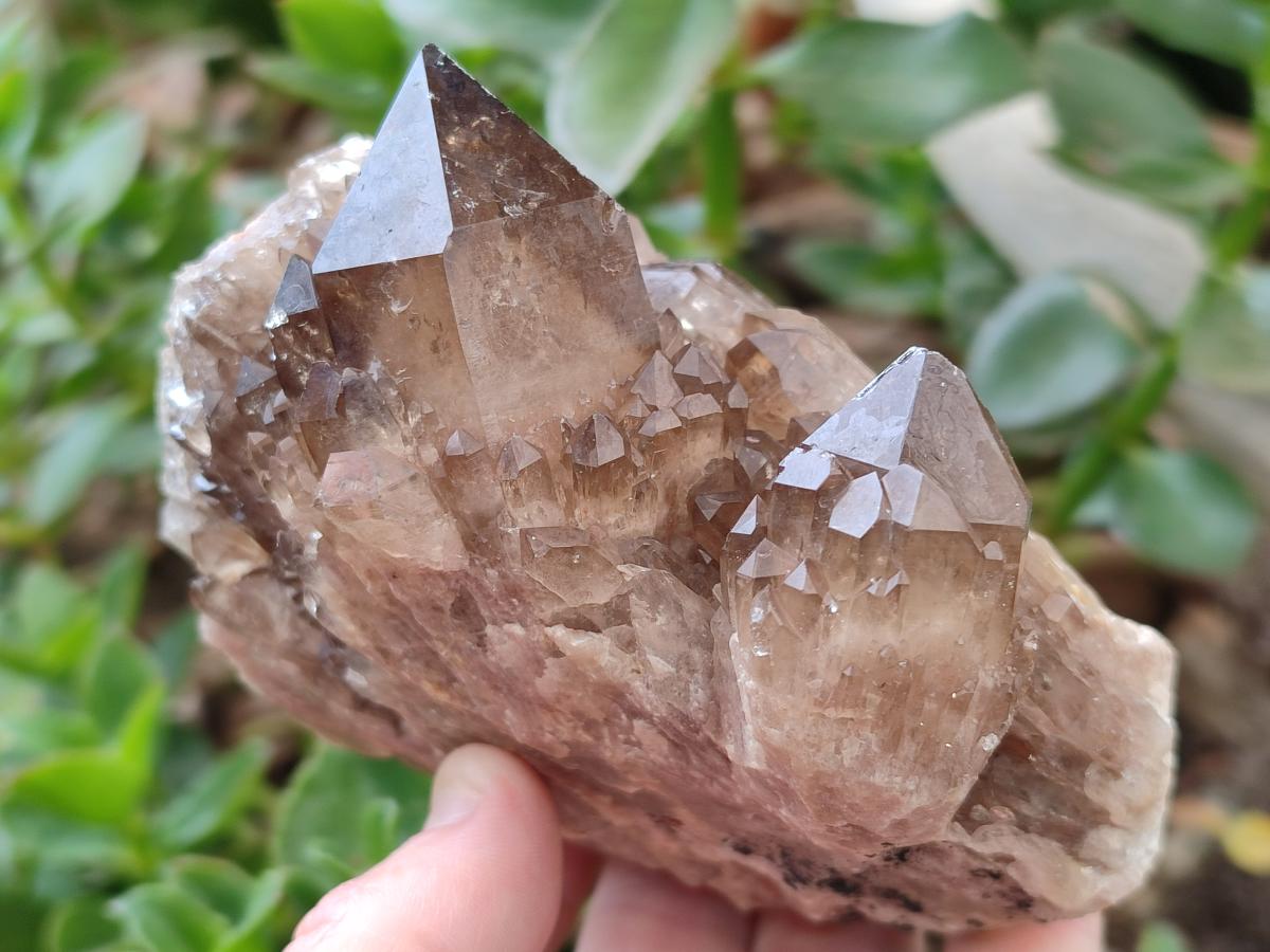 Natural Smokey Phantom Quartz Clusters x 2 From Luena, Congo