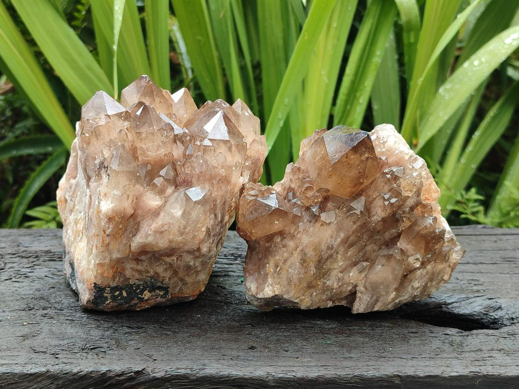 Natural Smokey Phantom Quartz Clusters x 2 From Luena, Congo