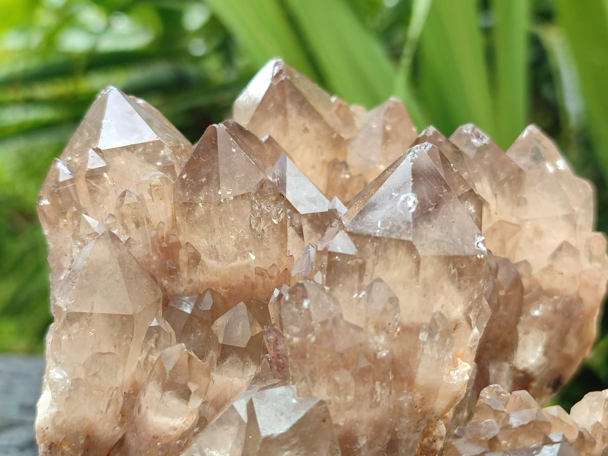 Natural Smokey Phantom Quartz Clusters x 2 From Luena, Congo