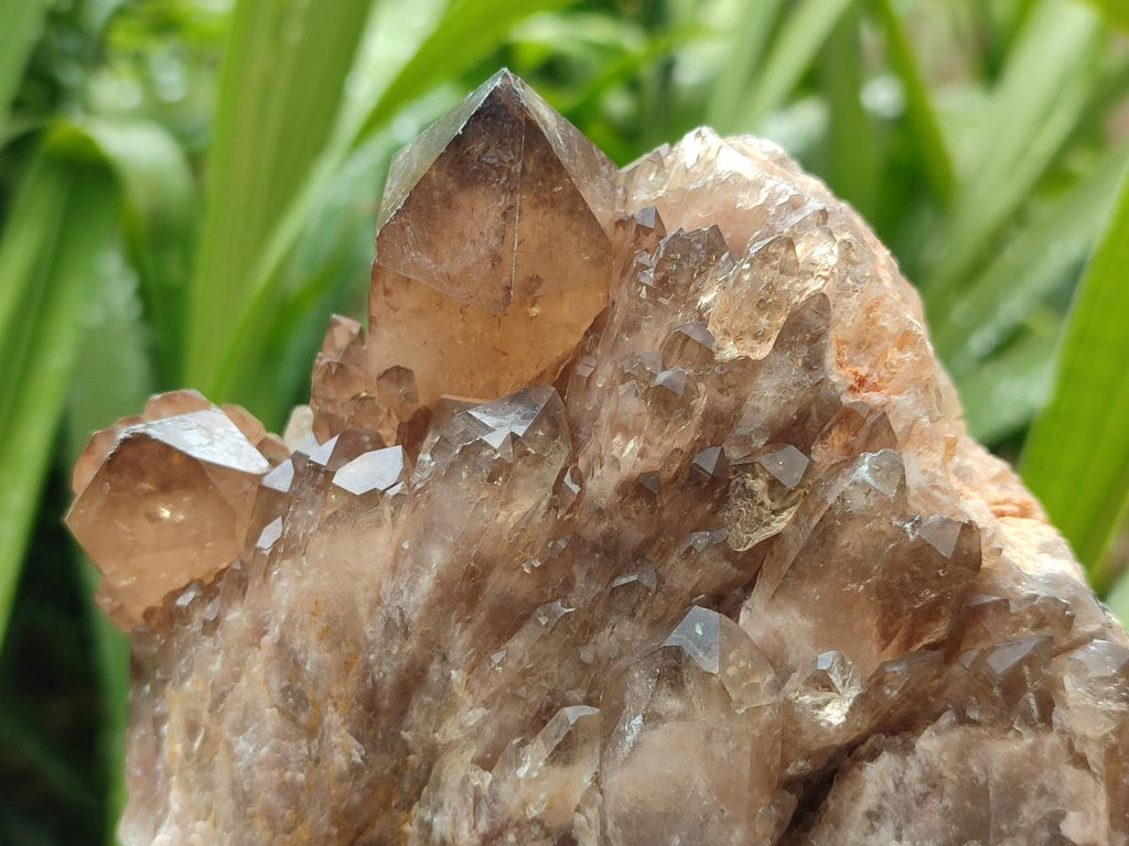 Natural Smokey Phantom Quartz Clusters x 2 From Luena, Congo