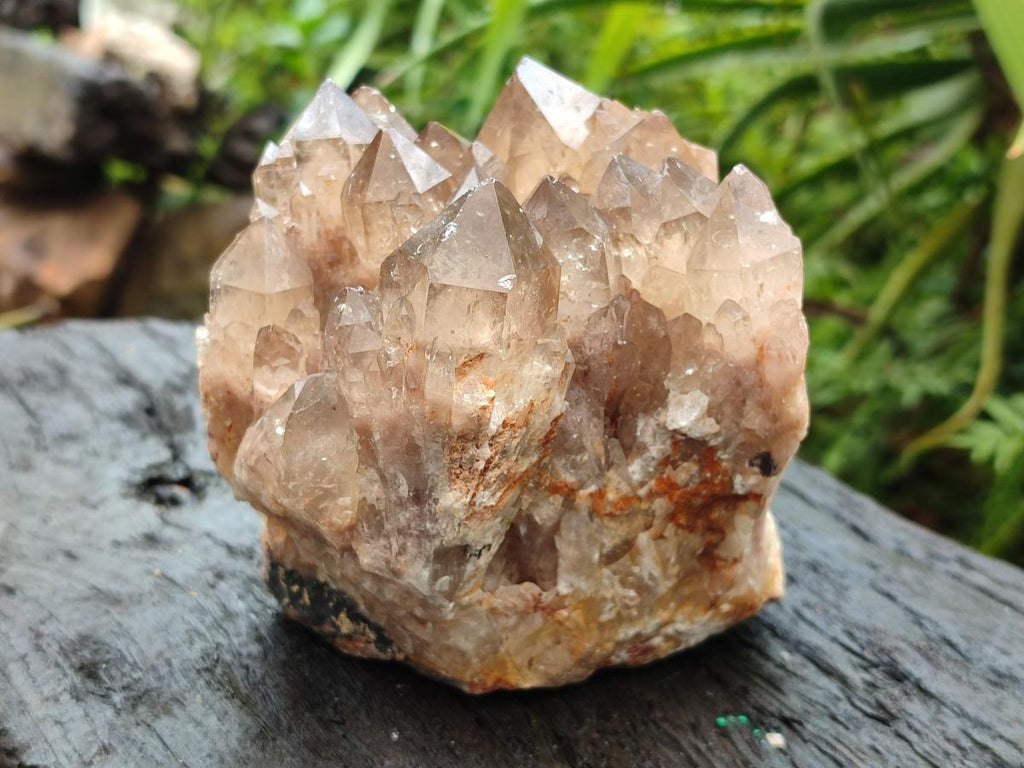 Natural Smokey Phantom Quartz Clusters x 2 From Luena, Congo