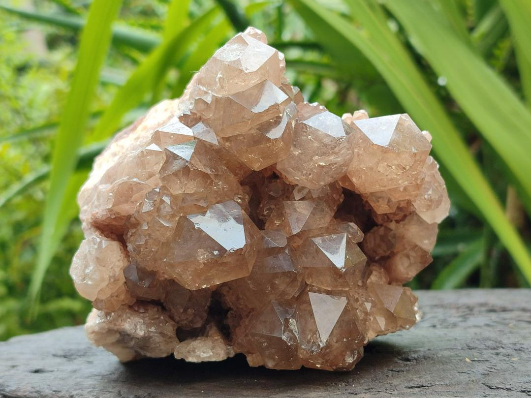 Natural Smokey Phantom Quartz Clusters x 2 From Luena, Congo